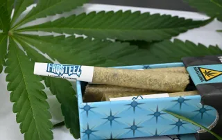 Frosteez Cannabis Pre-Rolls
