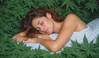 Exploring the Best Cannabis for Sleep