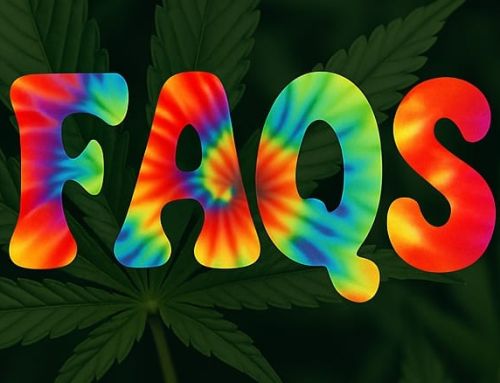 Top 30 Montana Cannabis Questions Answered