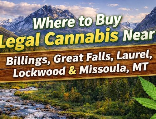 Where to Buy Legal Cannabis Near Billings, Great Falls, Laurel, Lockwood & Missoula, Montana