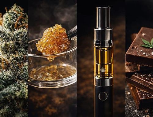 How Long Does THC Stay in Your System? Montana Guide to Weed, Dabs, Vapes & Edibles