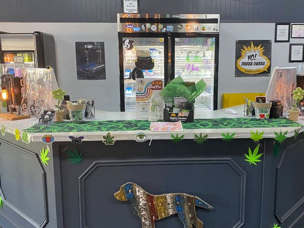 Shop counter decorated with green hemp leaf garlands and a colorful dog figure on the front; a tall refrigerated display case and posters are behind the counter.