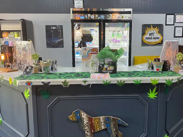 Shop counter decorated with green hemp leaf garlands and a colorful dog figure on the front; a tall refrigerated display case and posters are behind the counter.