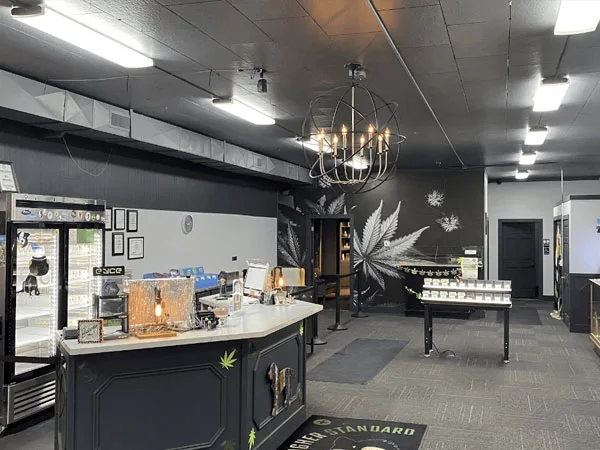 Cannabis dispensary interior with a curved checkout counter, glass display cases, a refrigerated section on the left, and a large leaf mural on the back wall.