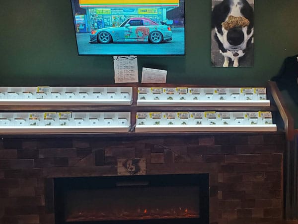 Rows of white display trays on a dark wood counter against a green wall, with a TV showing a blue race car and a dog poster above, and a fireplace below.